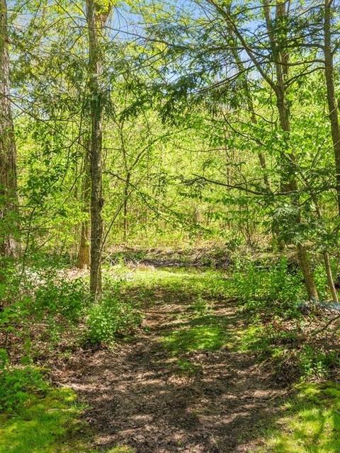 16 Spring Valley Rd, Worcester, MA 01609 photo 36