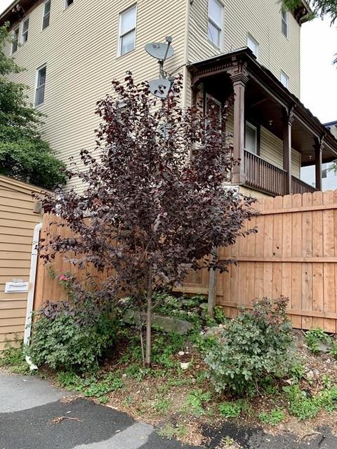 86 Chatham, Worcester, MA 01609 photo 2