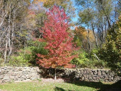661 W Cherry St, Holyoke, MA 01040 photo 25