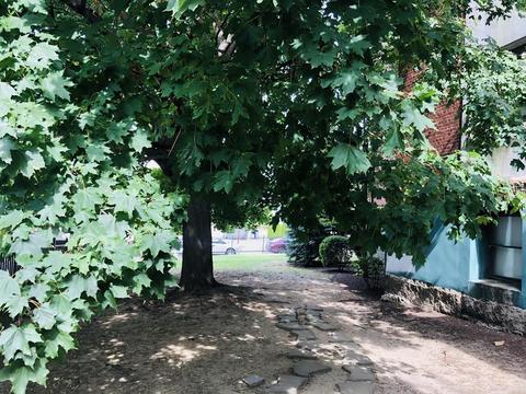 260 Fountain St #A3, Fall River, MA 02721 photo 13