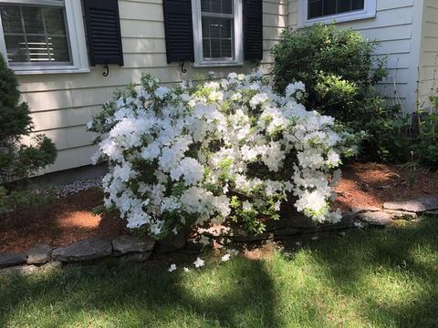10 Algonquin Rd, Acton, MA 01720 photo 24