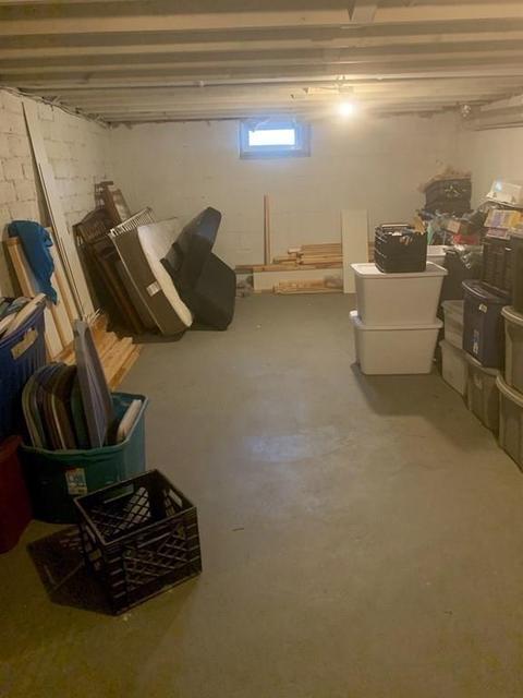 239 Windemere St, Springfield, MA 01104 photo 31