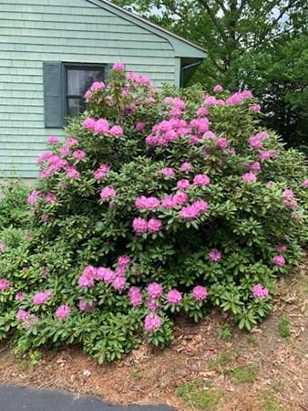 376 Central St, Acton, MA 01720 photo 23