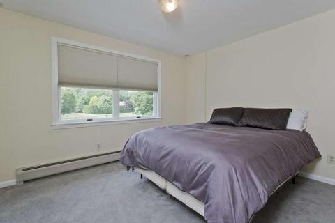 6 Pine Hill Rd, Easthampton, MA 01027 photo 15
