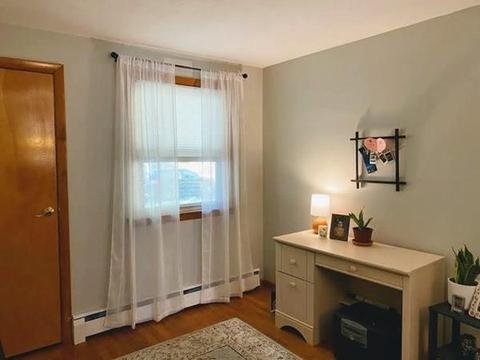 5 Capitol Rd, Springfield, MA 01119 photo 10