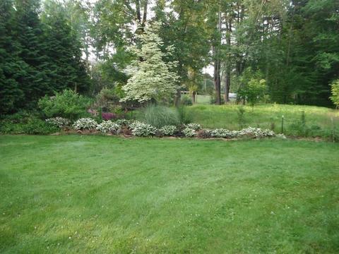2030 Allen St, Springfield, MA 01118 photo 37