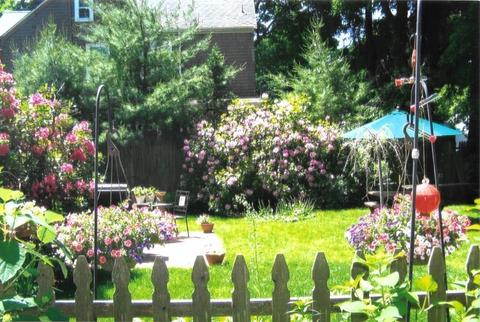 8 Bates Ct, Dedham, MA 02026 photo 4