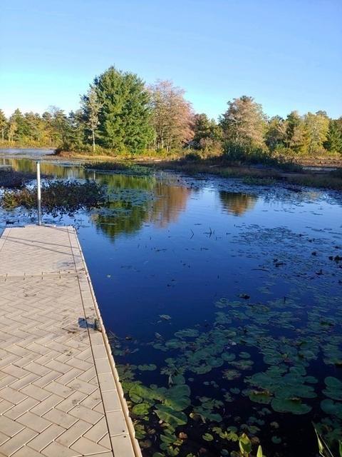 28 Black Point Rd, Webster, MA 01570 photo 41