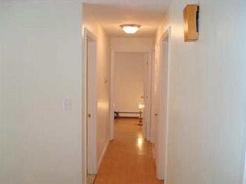 35 Ruthellen Rd, Framingham, MA 01701 photo 15