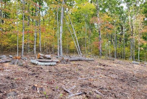 5 W Shore Dr, Ashburnham, MA 01430 photo 2