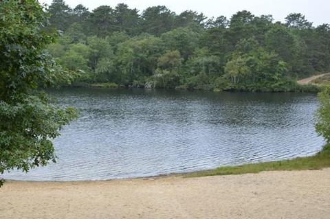 6 Shangri La Blvd, Wareham, MA 02538 photo 35