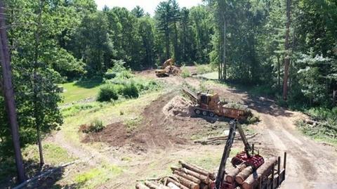 48 Bubbling Brook Rd, Walpole, MA 02081 photo 9