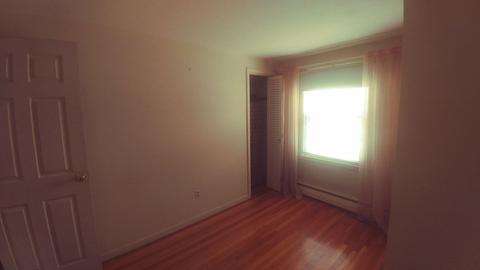 50 Glencoe, Springfield, MA 01104 photo 20