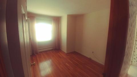 50 Glencoe, Springfield, MA 01104 photo 17