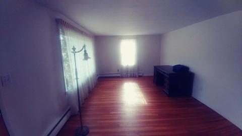 50 Glencoe, Springfield, MA 01104 photo 15