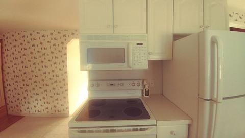 50 Glencoe, Springfield, MA 01104 photo 11
