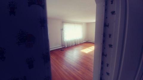 50 Glencoe, Springfield, MA 01104 photo 16