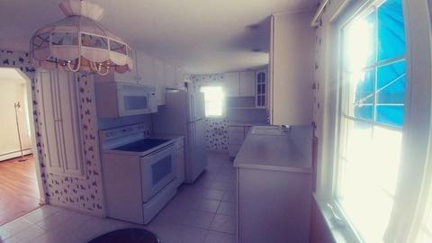 50 Glencoe, Springfield, MA 01104 photo 10