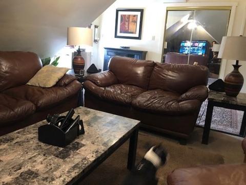 162 Prospect St, Springfield, MA 01107 photo 41