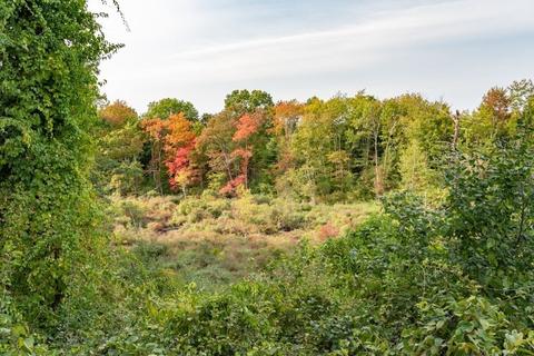 25 Bailey Ln, Georgetown, MA 01833 photo 41