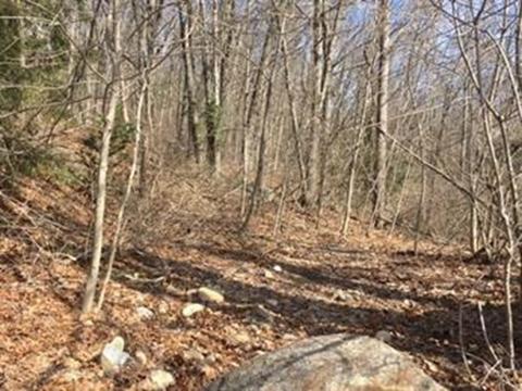 11 Pleasant Ter, Ware, MA 01082 photo 4