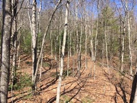11 Pleasant Ter, Ware, MA 01082 photo 3
