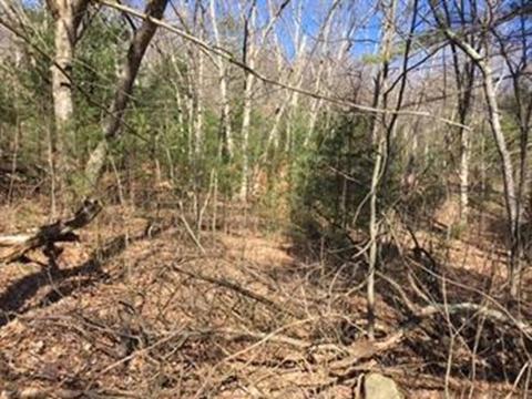 11 Pleasant Ter, Ware, MA 01082 photo 2