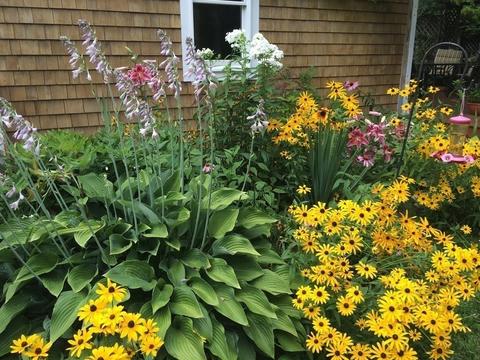4 Forest St, Wareham, MA 02558 photo 39