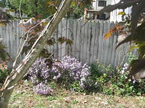 136 Manning St, Chicopee, MA 01020 photo 26