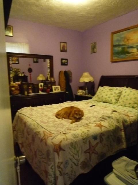 96 Canonicus St, Fall River, MA 02723 photo 13
