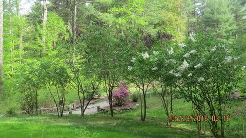 126 Bartlett Ln, Orange, MA 01364 photo 24