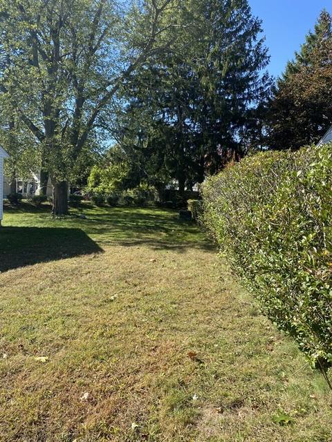 78 Wakefield St, Springfield, MA 01151 photo 3