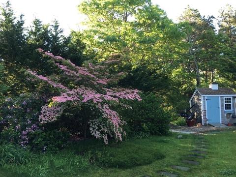 25 Seaside Dr, Eastham, MA 02642 photo 18
