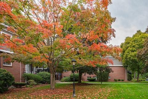 80 Walnut St #210, Canton, MA 02021 photo 17