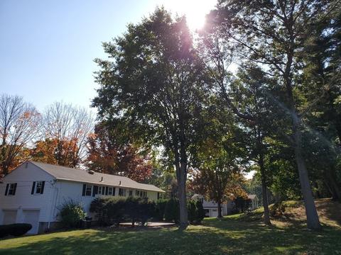 11 Williams St, Canton, MA 02021 photo 8