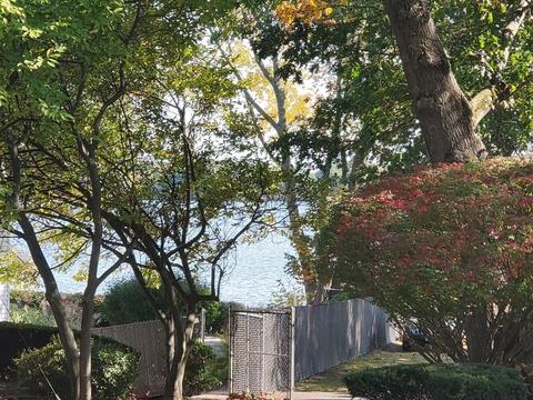 11 Williams St, Canton, MA 02021 photo 4