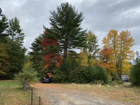 73 Cummings Rd, Ware, MA 01082 photo 29