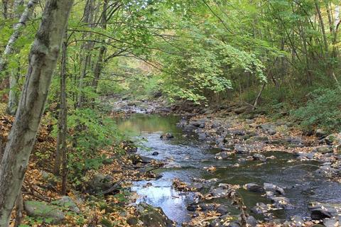 41 Walnut Rd, Hampden, MA 01036 photo 13