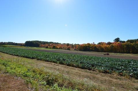 320 Plain St, Millis, MA 02054 photo 40