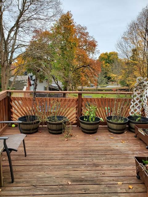 24 Mechanic St, Warren, MA 01083 photo 15