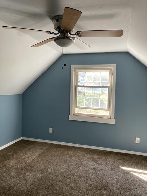 28 Royal Rd, Worcester, MA 01603 photo 16