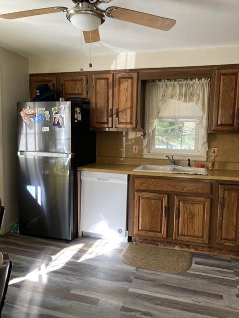 28 Royal Rd, Worcester, MA 01603 photo 6