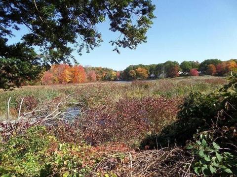 31 Boyd St, Leicester, MA 01611 photo 7