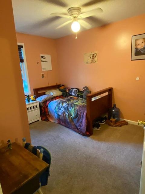 133 Moxon St, Springfield, MA 01151 photo 19