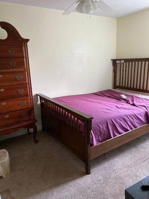 133 Moxon St, Springfield, MA 01151 photo 14