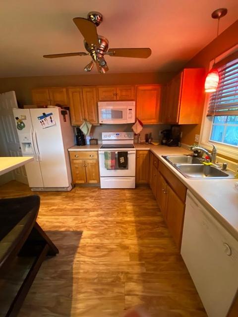 133 Moxon St, Springfield, MA 01151 photo 26