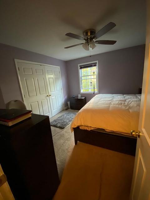 133 Moxon St, Springfield, MA 01151 photo 23