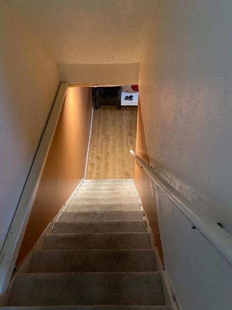 133 Moxon St, Springfield, MA 01151 photo 17