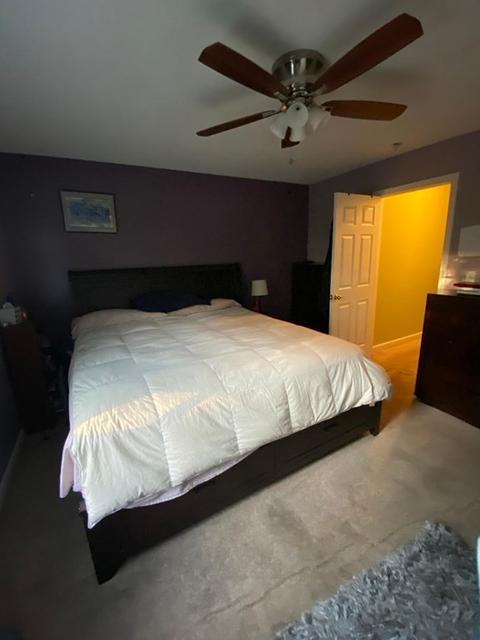 133 Moxon St, Springfield, MA 01151 photo 24