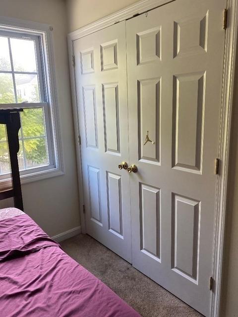 133 Moxon St, Springfield, MA 01151 photo 15